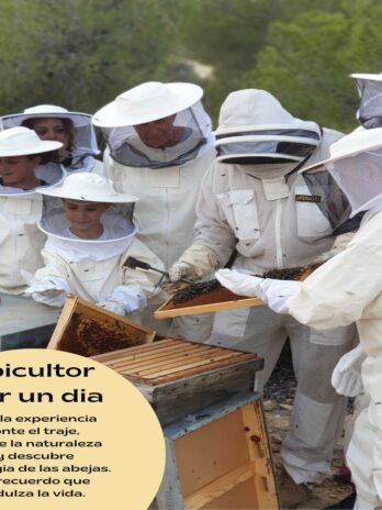Apicultor por 1 día